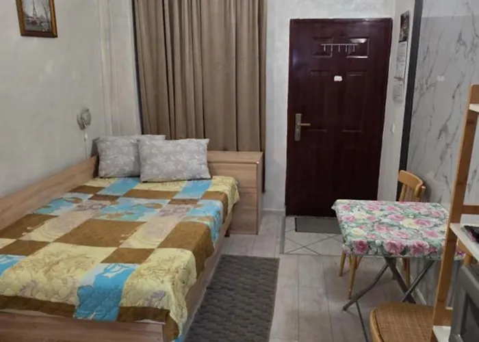 Encanto 普罗夫迪夫